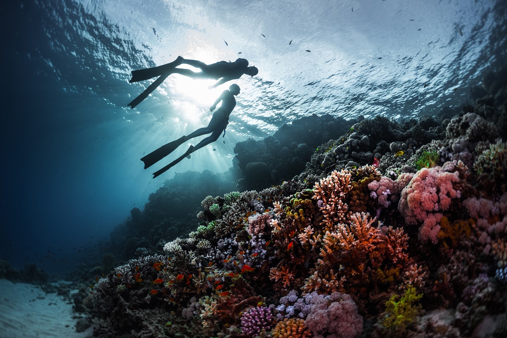 Brac diving